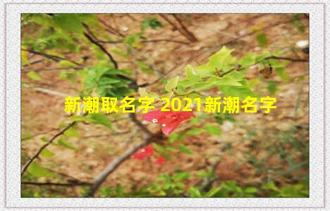 新潮取名字 2021新潮名字